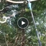 AKU SET: 3v1 – Pilka + Nůžky + Teleskopická tyč + Náhradní baterie (2ks, 2Ah) – video