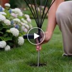 Solární LED lampy (6 žárovek) – video