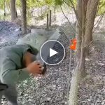 Přenosná sprcha – Hlavice, 1,5m hadice, dobíjecí čerpadlo – video